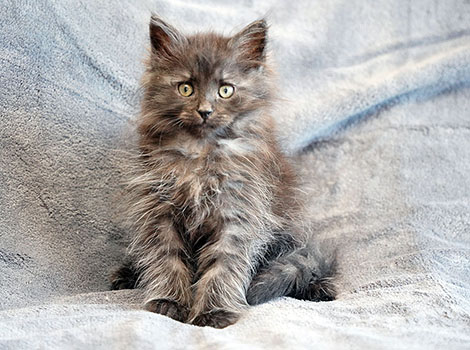 Penelope am 11. Mai 2025